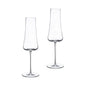 Stem Zero Set of 2 Volcano Champagne Glasses