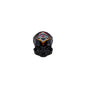 NUDE Rock and Pop Artist Collection Skull Small by Luca Font version1 front view