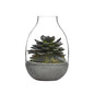 Eden Mini Terrarium Clear with Moulded Concrete Base