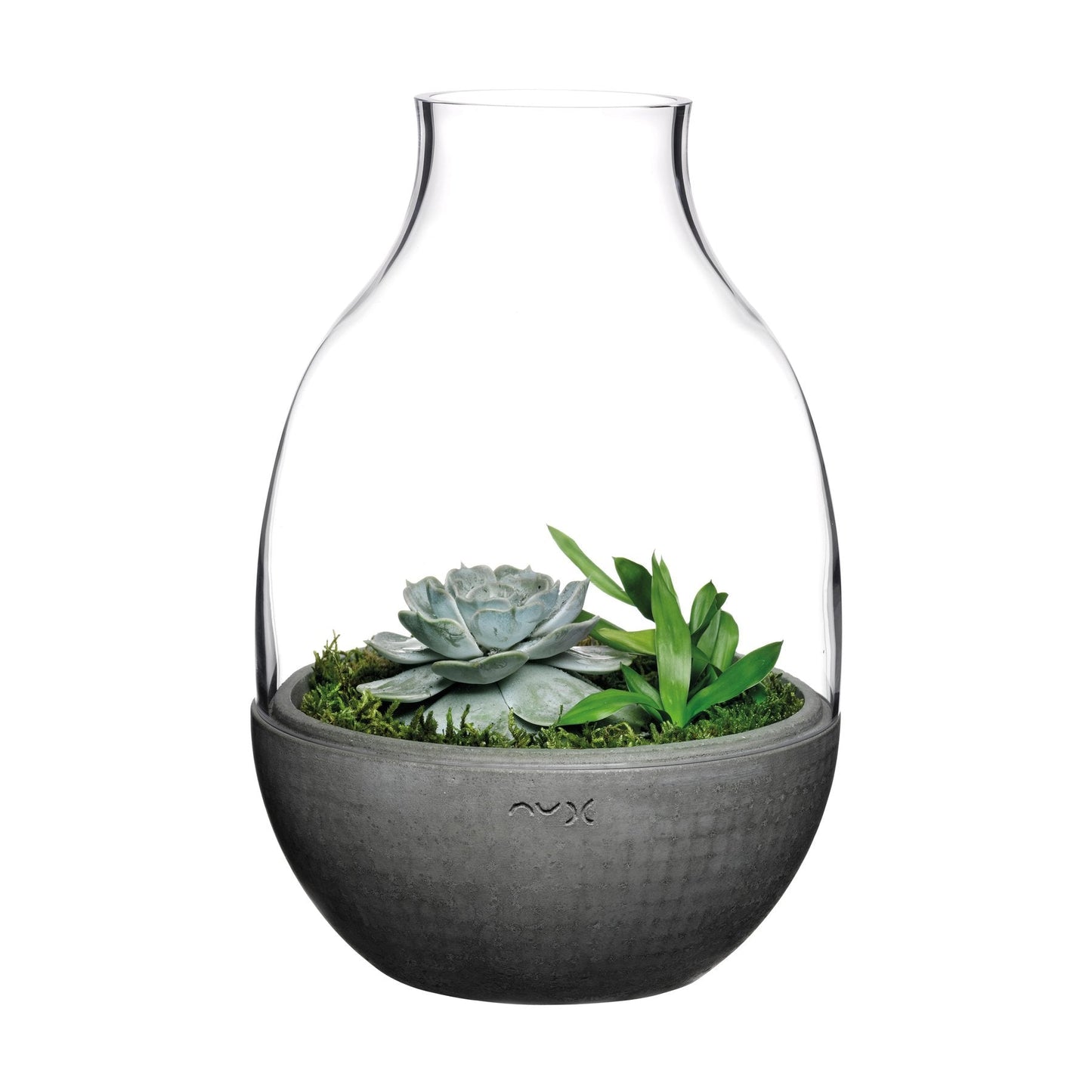 Eden Terrarium Clear with Moulded Concrete Base