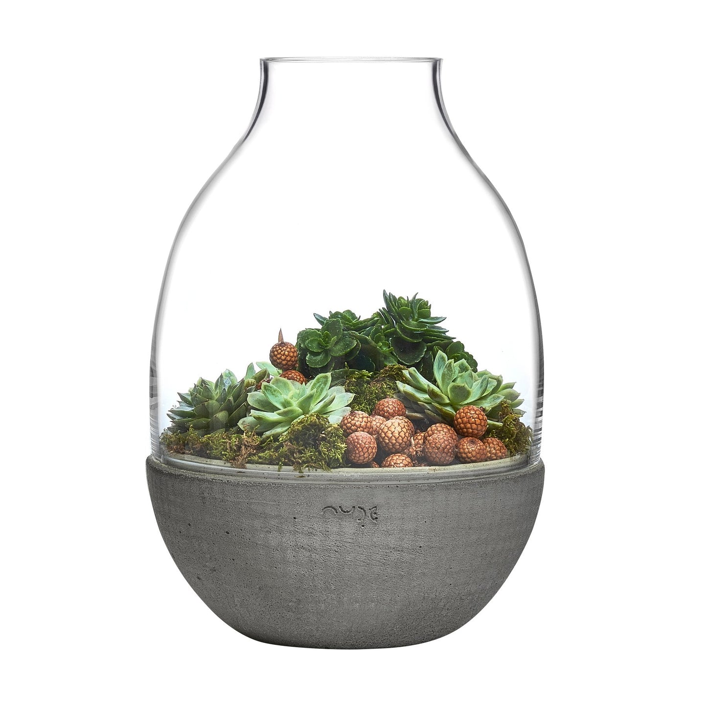 Eden Terrarium Clear with Moulded Concrete Base