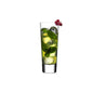 Highlands Set of 4 High Ball Glasses