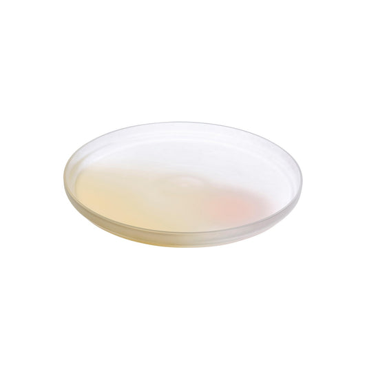 Pigmento Serving Dish 28 cm