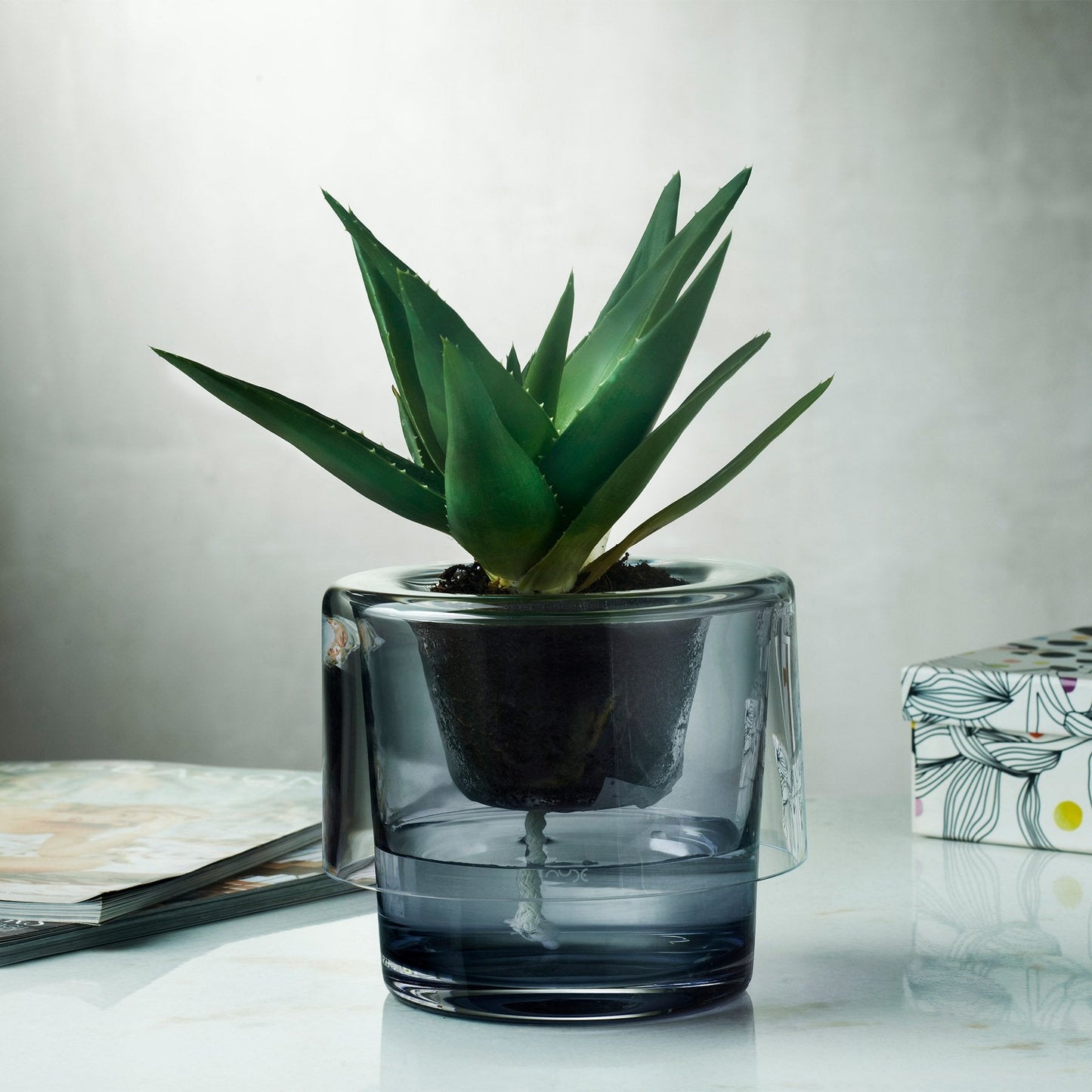 Roots Herb Pot Clear Top